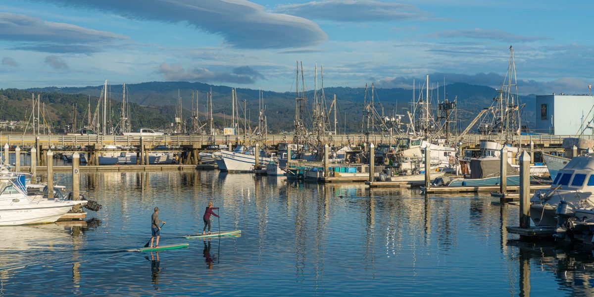 Two people paddleboarding on calm water in a marina filled with various docked boats and sailboats, with a wooden pier and forested hills in the background under a blue sky with scattered clouds.