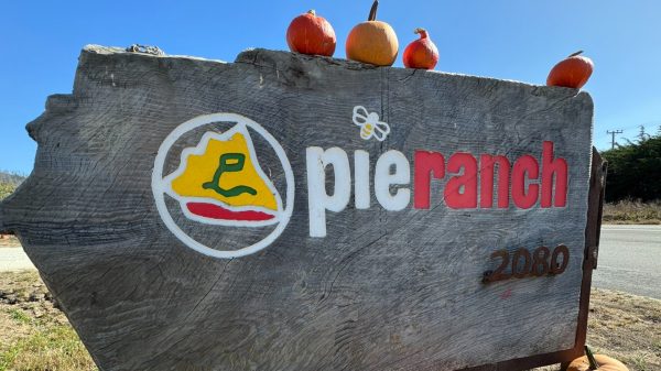 A rustic wooden sign with the text "pie ranch" painted on it, featuring a yellow pie slice logo with a green "L" inside a white circle. The number "2080" is painted in brown on the lower right corner. Four small pumpkins are placed on top of the sign, and one pumpkin is partially visible at the bottom right. The background shows a clear blue sky and some greenery.