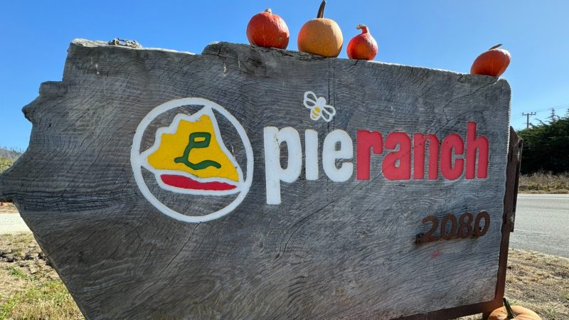 A rustic wooden sign with the text "pie ranch" painted on it, featuring a yellow pie slice logo with a green "L" inside a white circle. The number "2080" is painted in brown on the lower right corner. Four small pumpkins are placed on top of the sign, and one pumpkin is partially visible at the bottom right. The background shows a clear blue sky and some greenery.