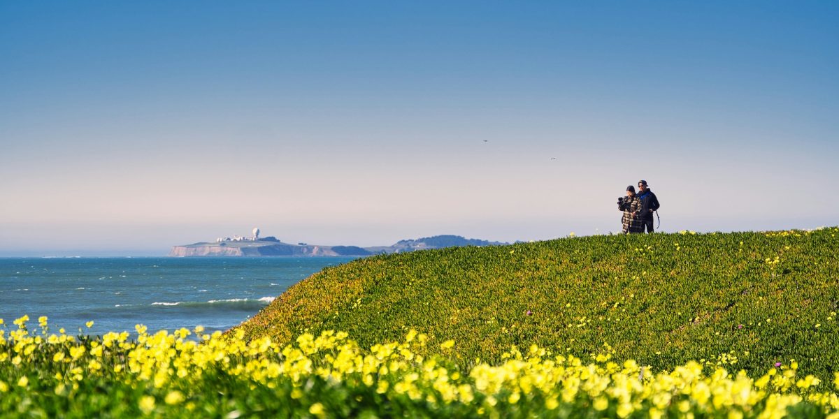 Two people stand on a grassy hill covered with yellow flowers, overlooking the ocean with a distant island featuring radar domes under a clear blue sky.