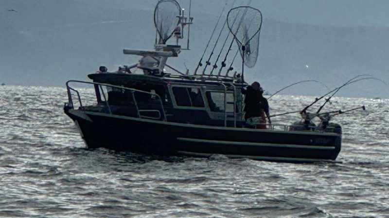 Fishing boat on choppy water with nets and rods, with distant hills under a cloudy sky.