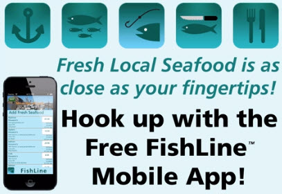 fishline_graphic_mobile