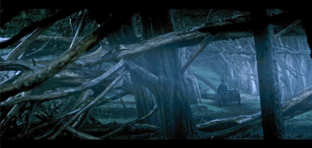 A dark, eerie forest with twisted, gnarled tree branches forming a dense canopy. A person is seen riding a small wooden cart along a narrow path that winds through the trees. The scene has a bluish tint, adding to the mysterious and somber atmosphere.