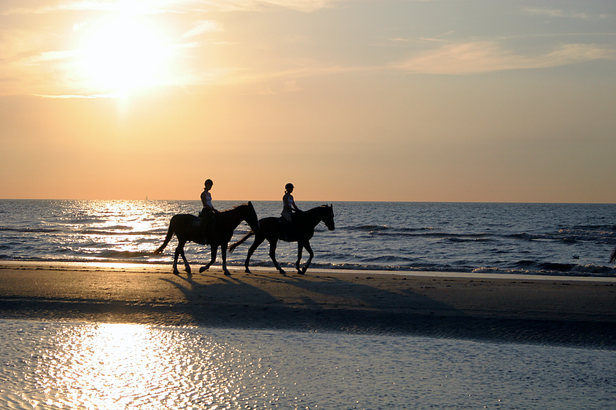 Horseback riding