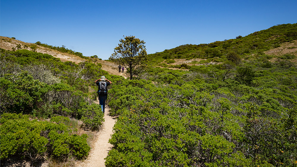 Hiker