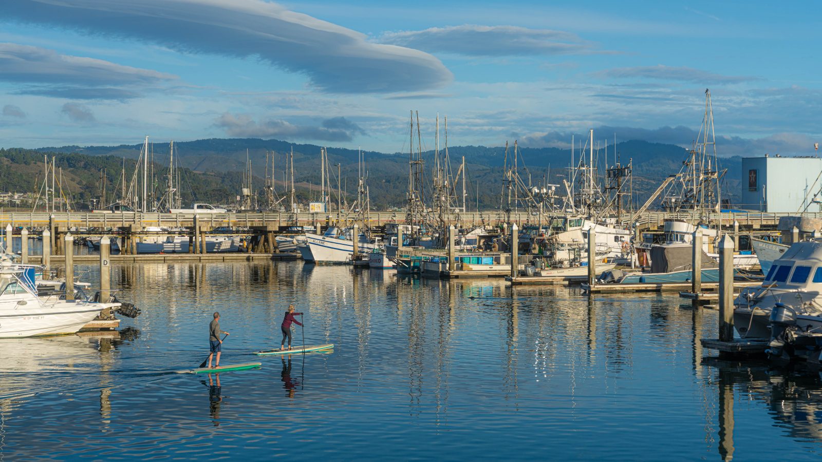 Two people paddleboarding on calm water in a marina filled with various docked boats and sailboats, with a wooden pier and forested hills in the background under a blue sky with scattered clouds.
