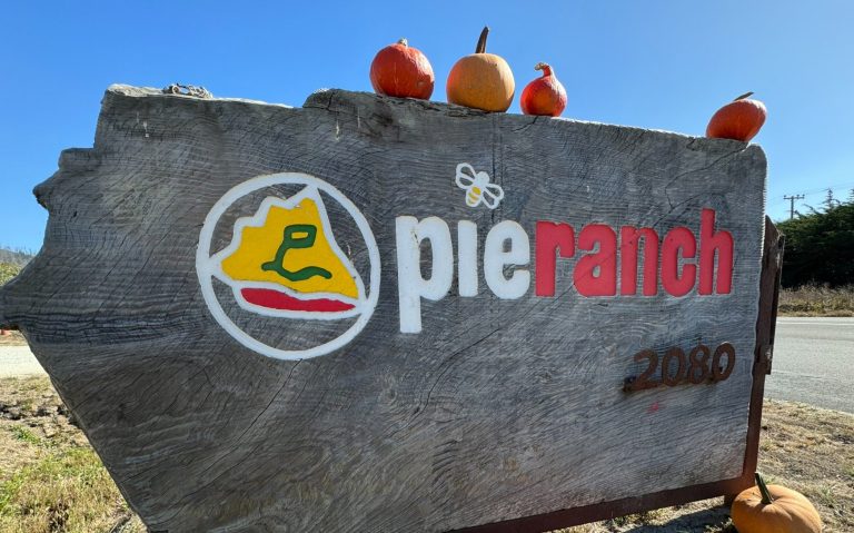 pie 768x479