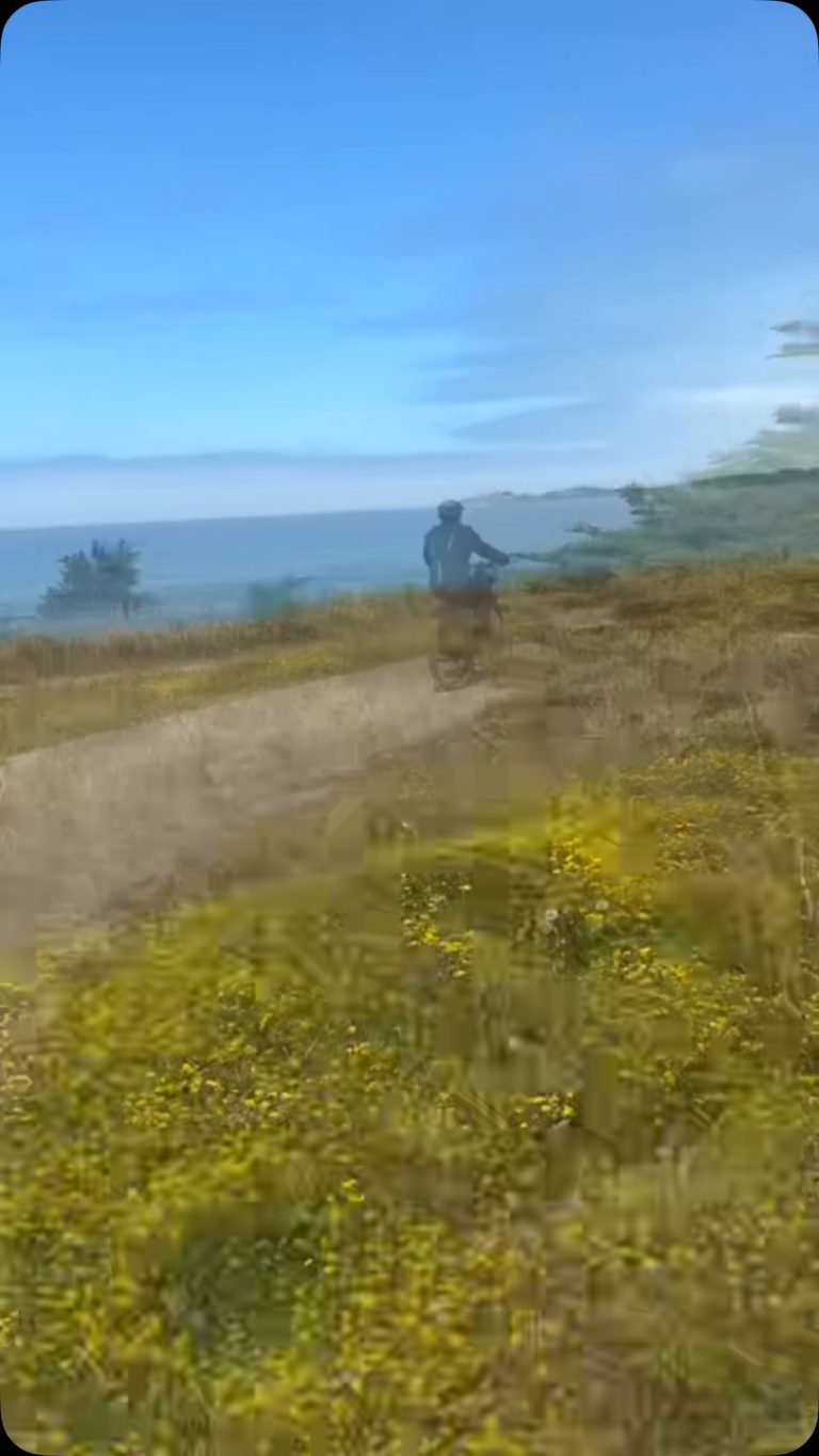 Sea The Shore Sea The Shore