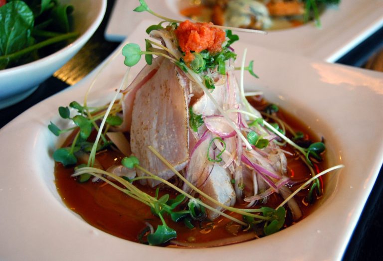 shiki scaled 768x523